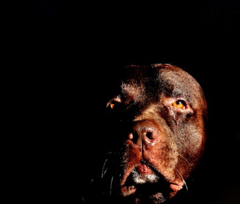 He is the only one...